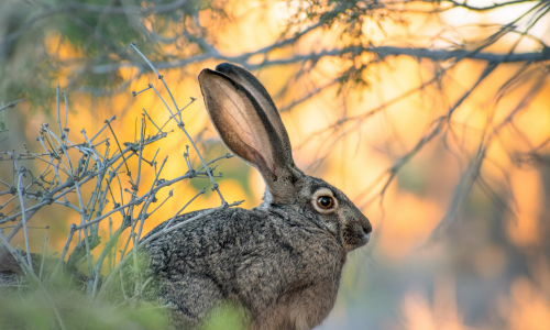 This is a new course